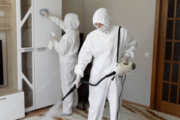 Professional Mold Remediation in Rocky Point, WA