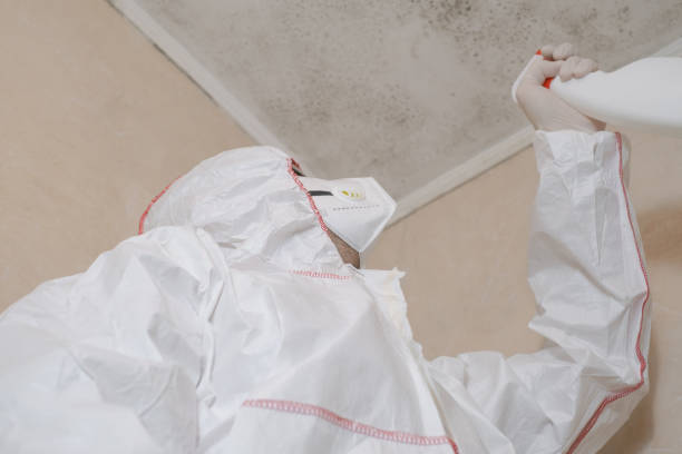 Best Mold Remediation for Specific Building Types in Rocky Point, WA