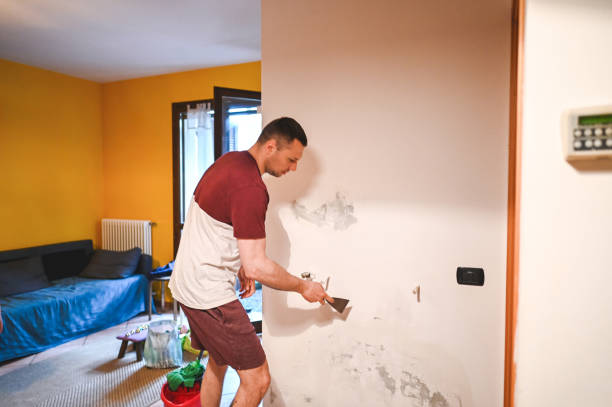 Best Industrial Mold Remediation in Rocky Point, WA